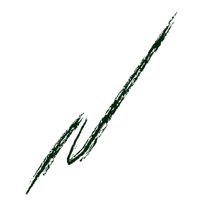 Metal Passion Gel Eyeliner Pencil